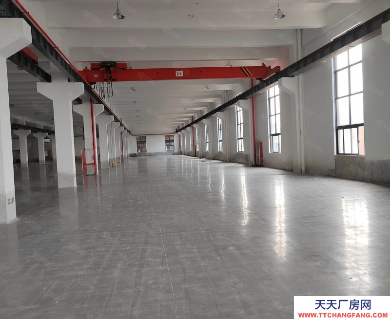 溫州平陽(出售) 出售平陽獨(dú)門獨(dú)院10畝建筑面積8500平方一樓利用率高