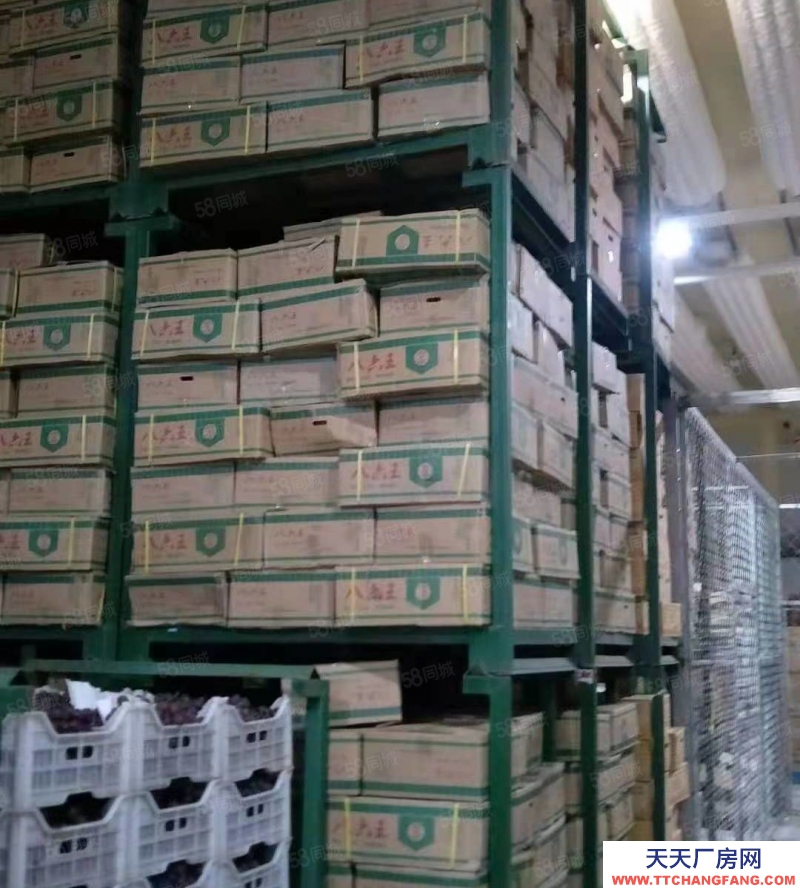 (出租) 大連甘井子區西北路軍合冷庫內冷庫現對外招商