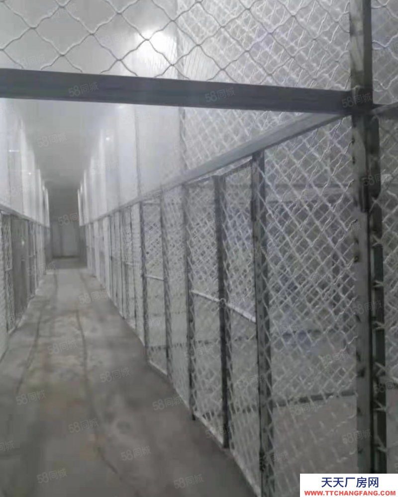 (出租) 大連甘井子區西北路軍合冷庫內冷庫現對外招商