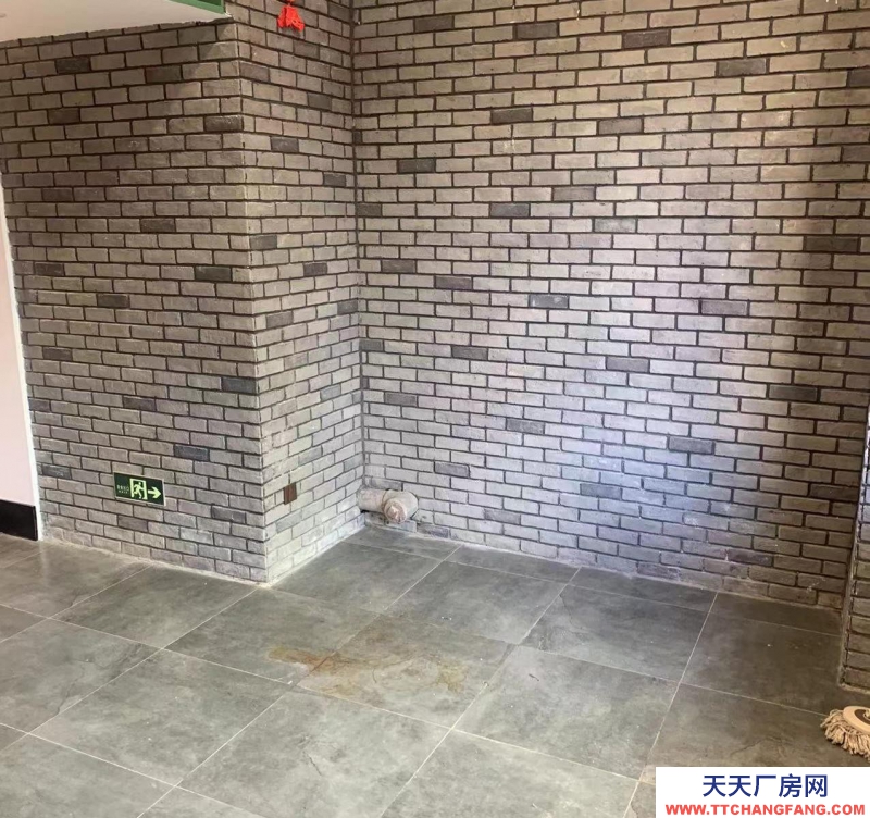 (出租) 大連中山區地下室非常大，總共600平，可以分割出租