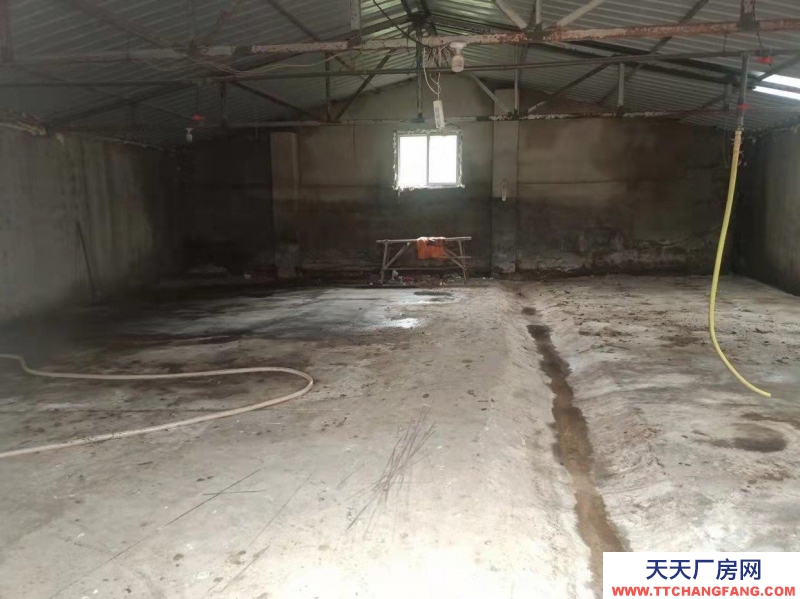 (出租)大連金州 倉庫出租1340平價格好說