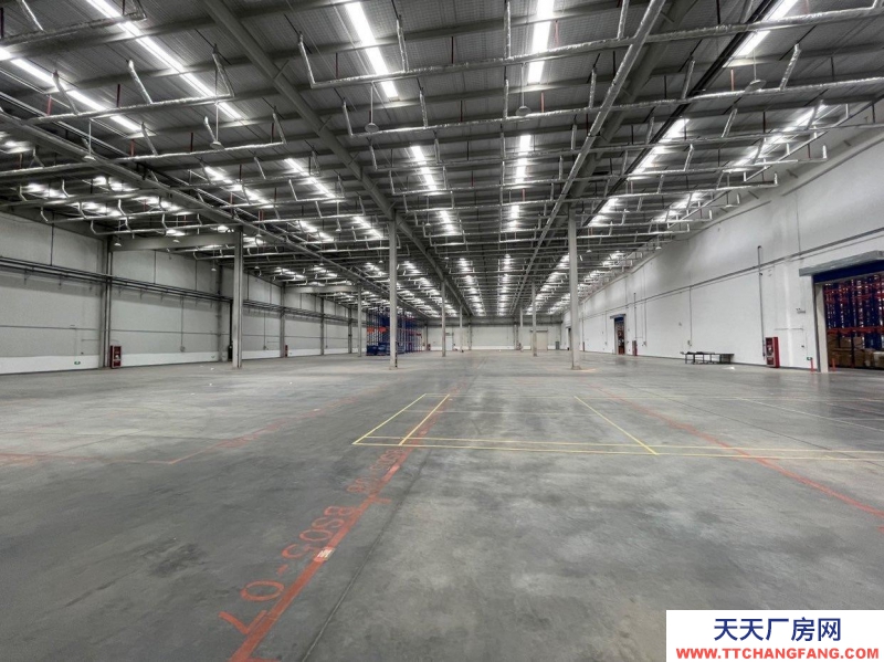 (出租) 大連金州金普新區高標丙二類倉庫。生產、存儲、物流等企業可入駐