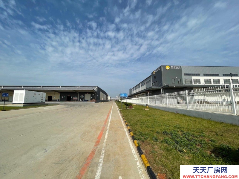 (出租) 大連金州金普新區高標丙二類倉庫。生產、存儲、物流等企業可入駐