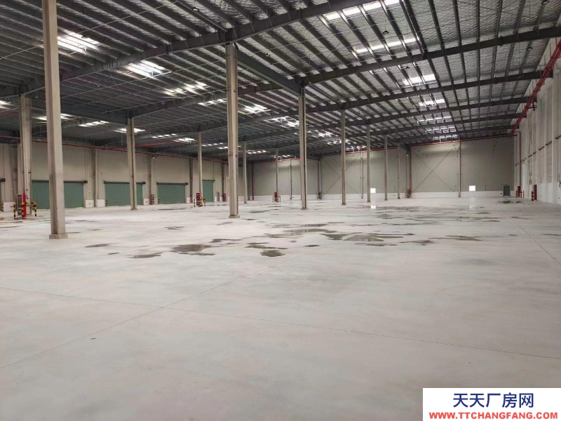 (出租) 大連市金州金普新區丙二類高標倉庫，生產、加工、物流倉儲均可