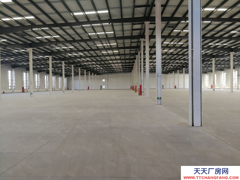 (出租) 大連金州區獨院30000平米倉庫出租(可以分租)適合物流公司