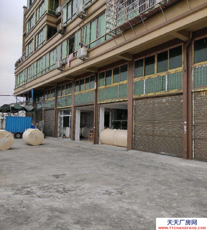 溫州蒼南縣(出租) 龍港靈海大道旁廠房出租，倉庫出租，套房樓下店面出租