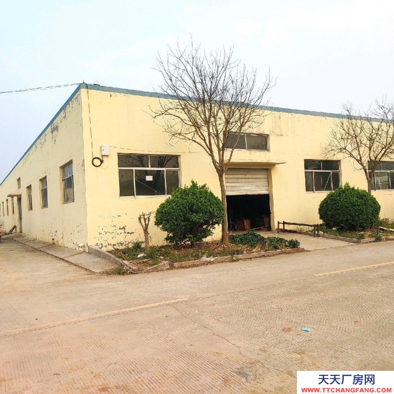 泰安東平800平，可分租，標準廠房