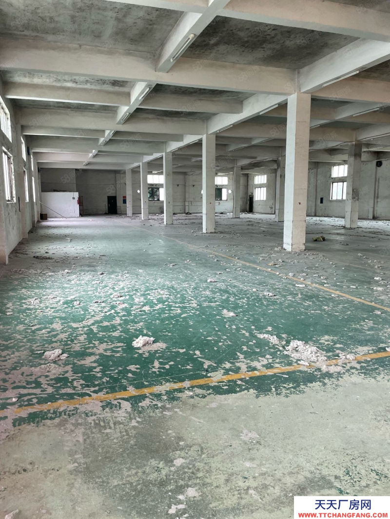 溫州蒼南縣(出售) 宜山獨門獨院8畝地出售12000平三證齊全好過戶