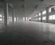 (出租) 楊浦中環創業園招租，適合攝影，展示，創意，工作室，檢測，電商