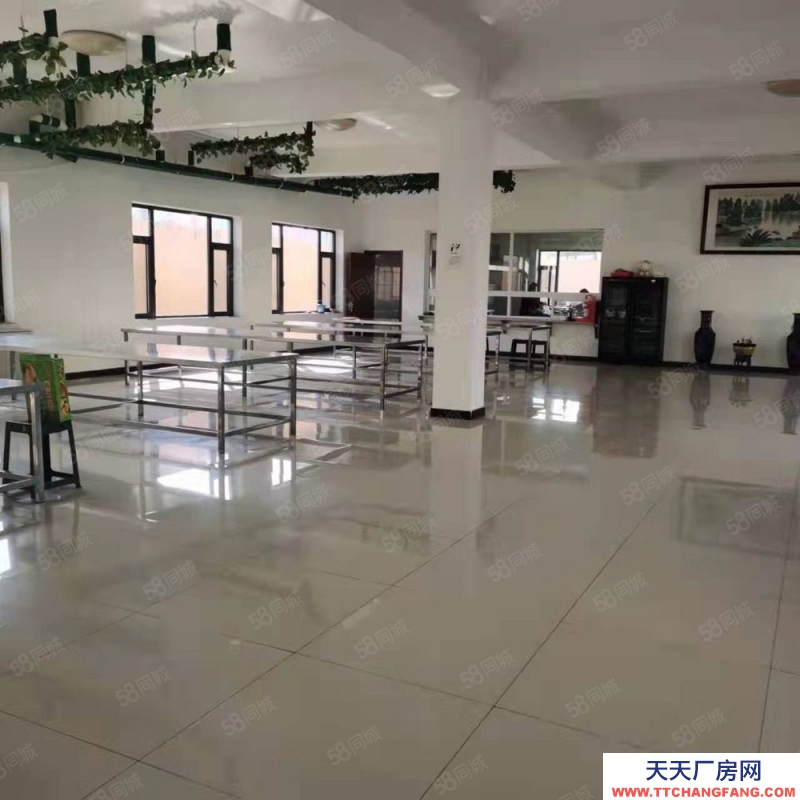 (出租) 大連金州標準廠房出租,格局好,寬敞明亮可做多種經營,可分租