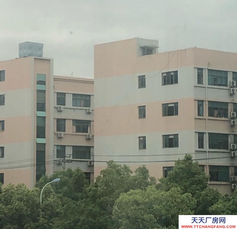 溫州文成(出租) 廠房車間2幢，宿舍樓1幢，屬于彩鋼房，高13米