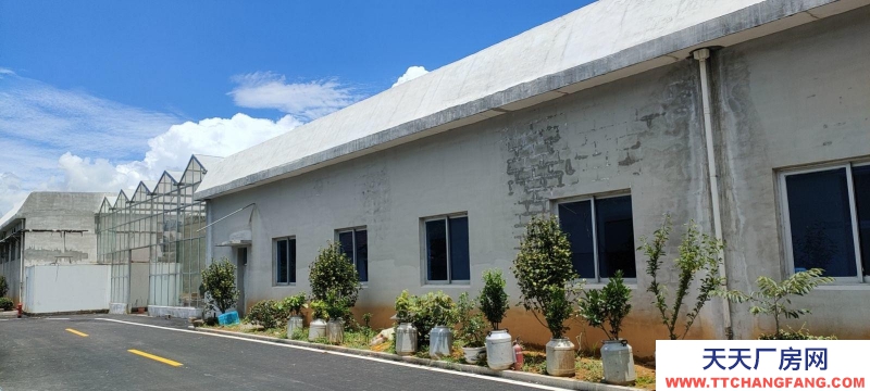 溫州文成(出租) 出租文成南田 3000平方 食品加工產 預制菜 凈菜