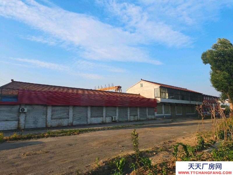 (出租) 208國道附近，交通便利，停車方便，離市區近