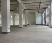 (出租) 閔行新建1500平花園式產(chǎn)業(yè)園配套3萬平運動休閑廣場