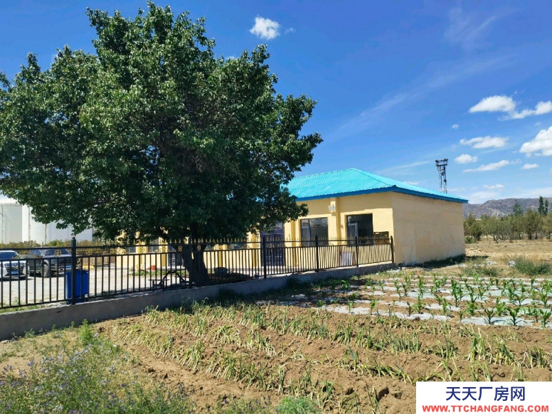 (出租) 呼和浩特新城區(qū)緊鄰110國道，交通便利，有三項電。具體事項面議