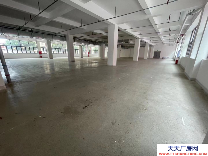 全新,獨棟框架 結構廠房,面積選擇大,形象展示非常好