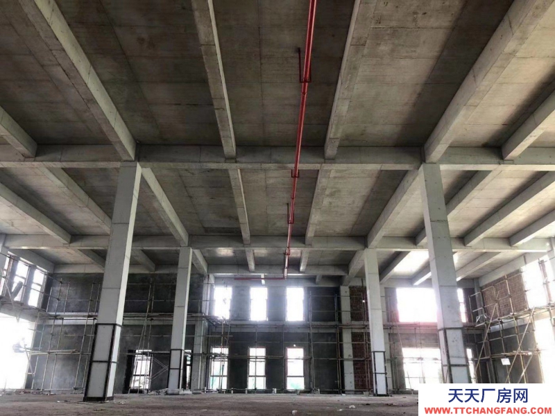 1366m2高標(biāo)準(zhǔn)工業(yè)廠房。低價現(xiàn)房。價格可面議。