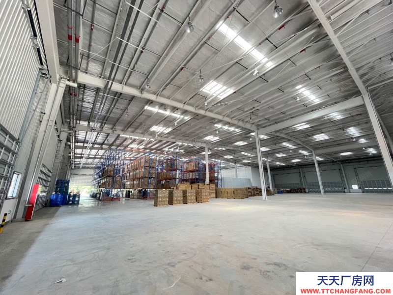 (出租) 柳州魚峰柳東花嶺物流園 2萬平高臺庫 可分租 整租有優惠