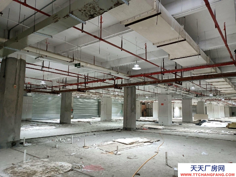 (出租)柳州城中區(qū)倉庫租賃，具體合作內(nèi)容可面談。