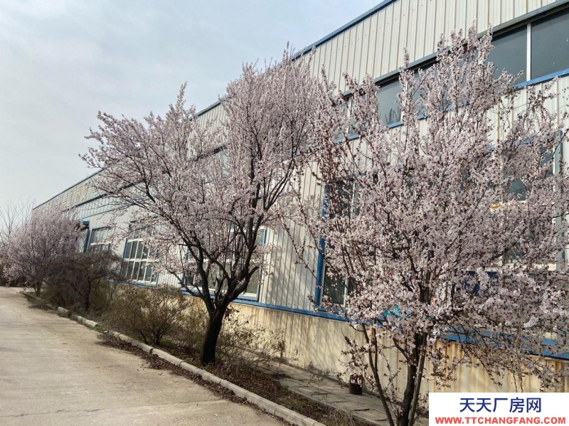 泰安岱岳辦公樓，廠房，倉庫，空地。