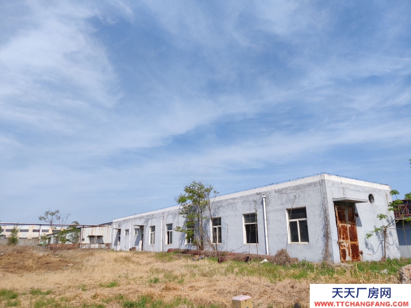 泰安出售 寧陽經濟開發區獨院廠房 好位置 緊鄰104國道京滬高速