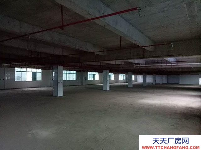 泰安東平出租生產車間和倉庫，地上兩層