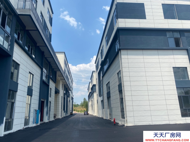 968m2雙拼或分層高標準工業廠房。低價現房。