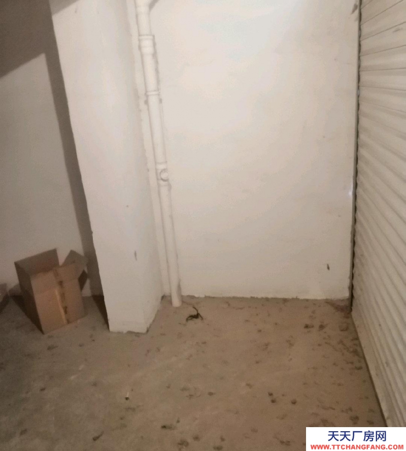 泰安東平港基山水名筑社區內 車庫/倉庫 35平