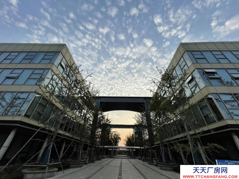 泰安新泰價格面議，可免房租，獨立辦公樓