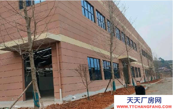 邵陽(yáng)市雙清區(qū) 出租 雙清全新廠房 交通便利 環(huán)境優(yōu)