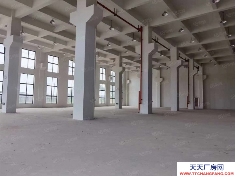 溫州泰順(出售) 泰順小微園 五層 每層950平方 高速口近