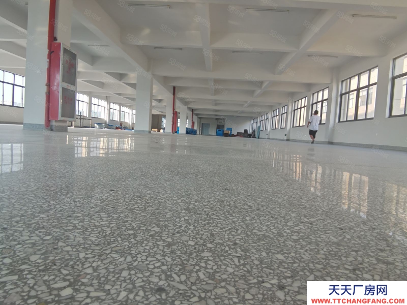 溫州瑞安(出租) 羅鳳2樓1000平獨立一個層面 租金180元層高4米馬上可用