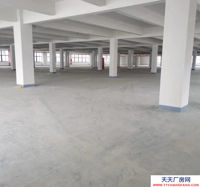 溫州瑞安(出租) 飛云閣巷廠房 12000平方 1樓8米高 2樓5米高 可分割