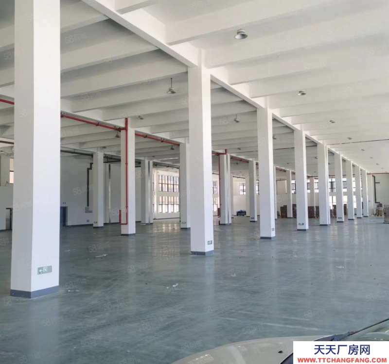 溫州瑞安(出租) 東山 12000標(biāo)準(zhǔn)廠房 5噸貨梯 帶地下室 可分割