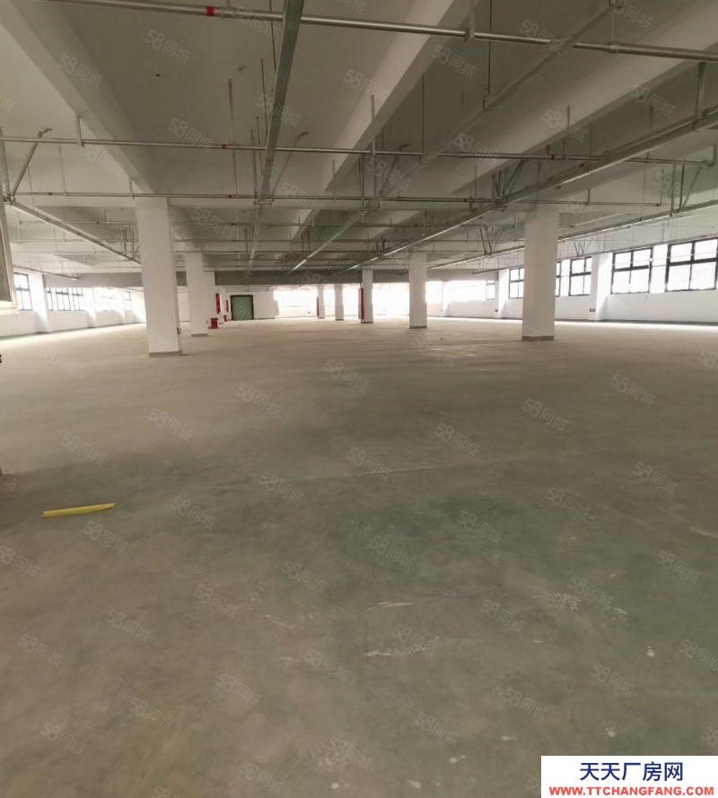 溫州瑞安(出租) 溫州 瑞安 倉庫 600至30000平方