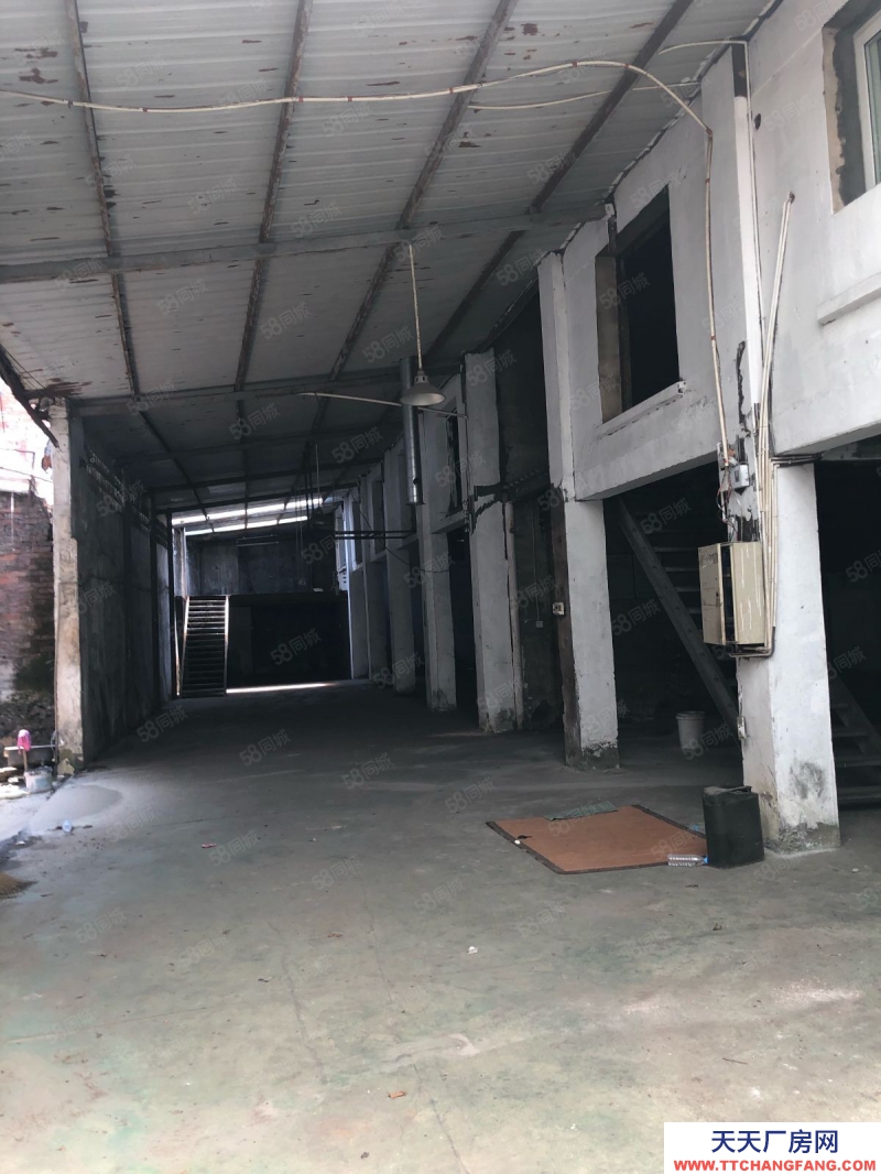 溫州瑞安(出租) 莘塍仙橋路口純一樓500平方高6米