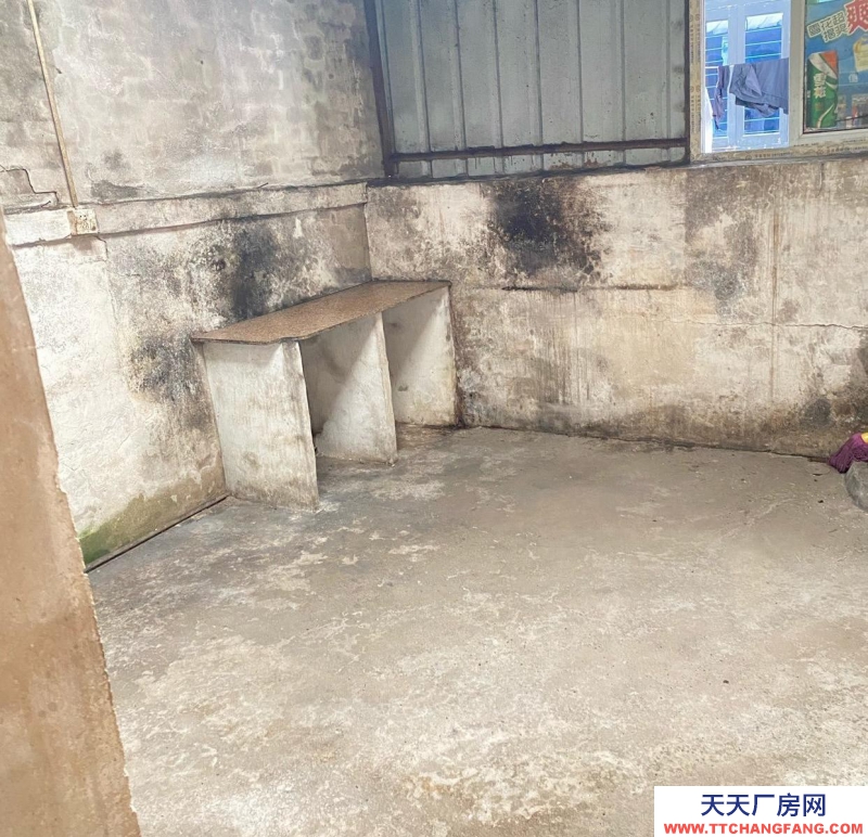 溫州瑞安(出租) 望江新街倉庫出租 也可當住房