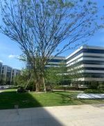 (出售) 閔行全新地塊可生產研發辦公，50年獨立產權