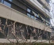 (出售) 閔行可出售的104現(xiàn)房,可分割產(chǎn)證,1200平起售