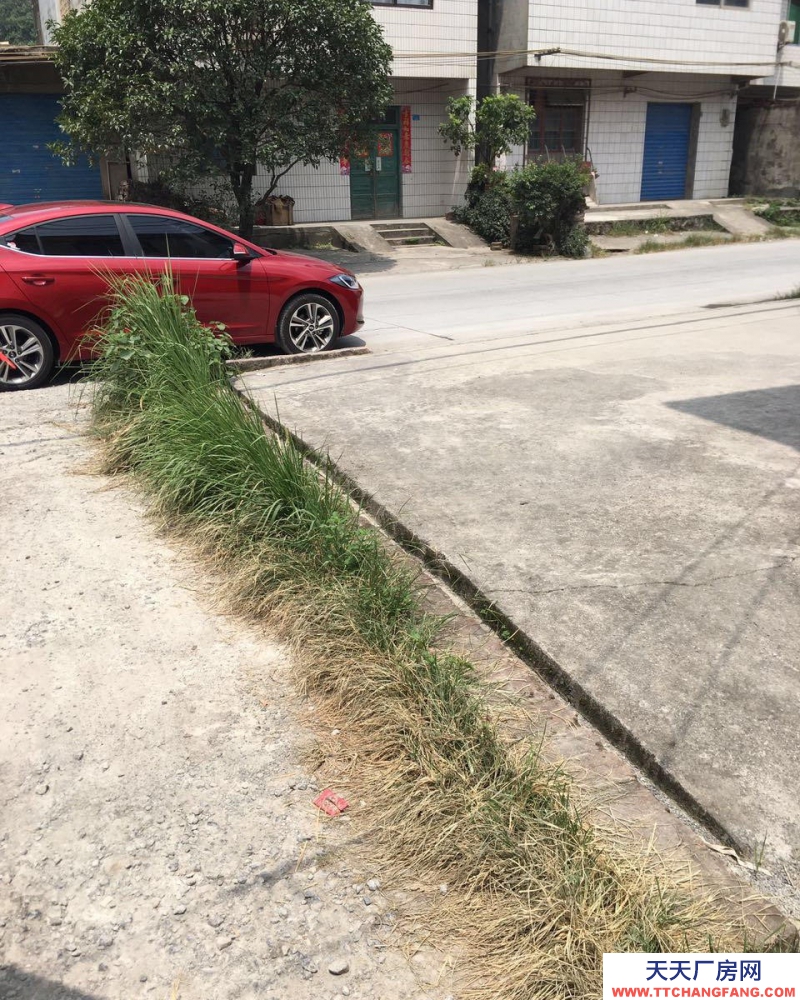 (出租)桂林 象山周邊 沙河路 倉庫 280平方平米