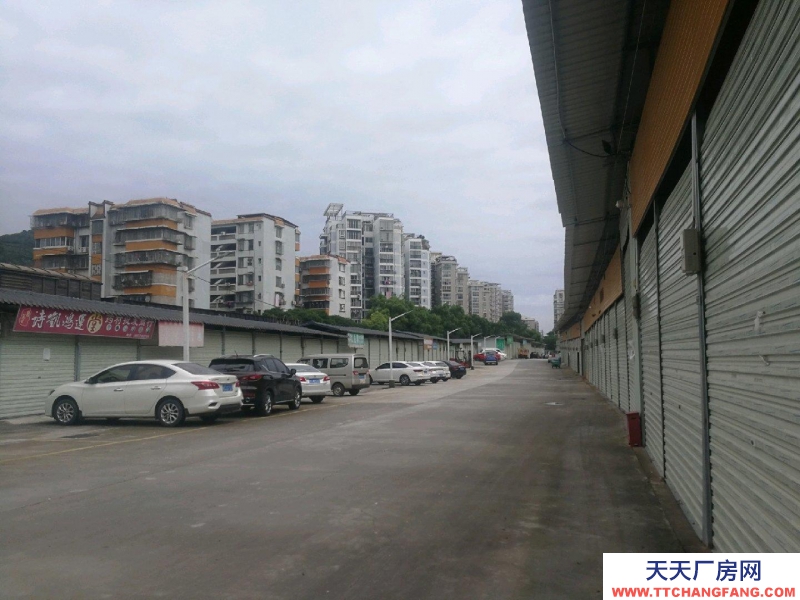 (出租) 桂林象山小中大型倉庫出租(10-2000平)