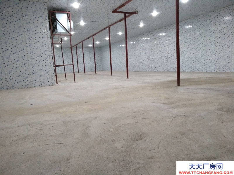 (出租) 桂林秀峰區桃花江路山洞內場地,冷庫出租