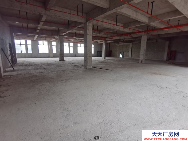 園區不限電，德清高速口首付100萬，花園式廠房