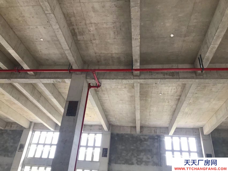 桐廬獨棟雙拼工業廠房準現房年底交付