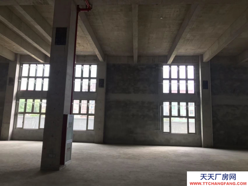 桐廬獨棟雙拼工業(yè)廠房準現(xiàn)房年底交付