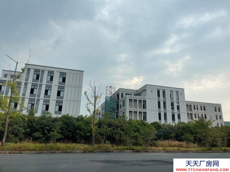 不限電，低容積，四層花園式獨棟廠房，非中介