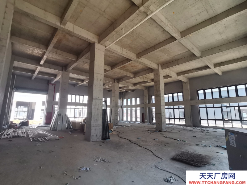 不限電，低容積，四層花園式獨棟廠房，非中介