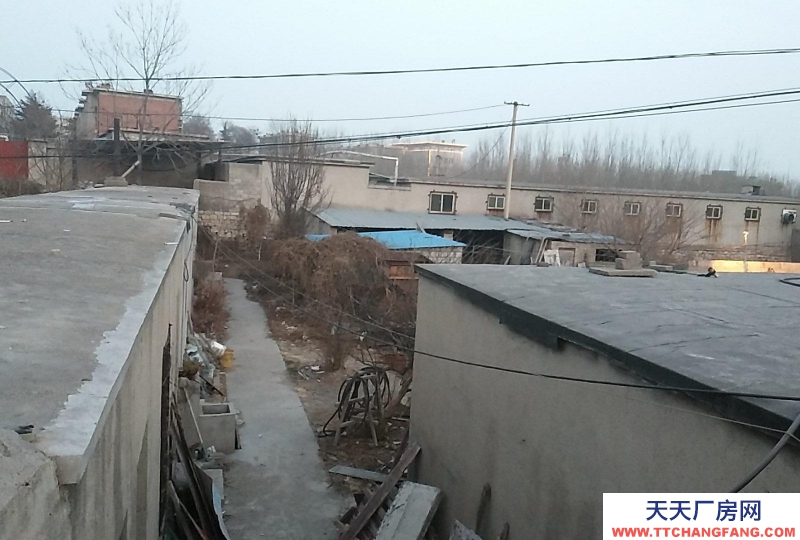 泰安肥城場地2400平 可擴廠房