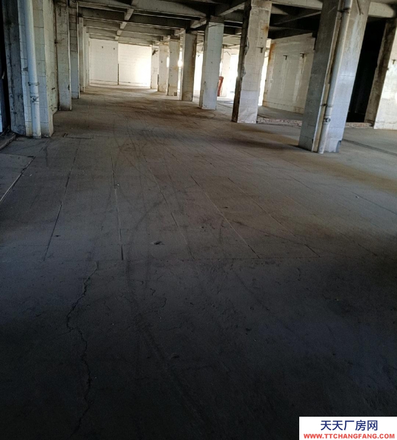 (出租)銀川金鳳 庫房，平房，辦公室出租！