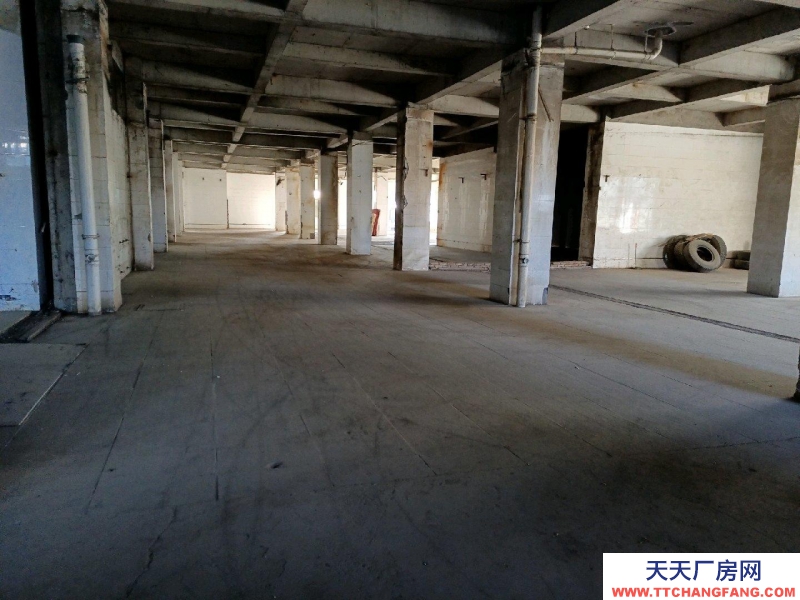 (出租)銀川金鳳 庫房，平房，辦公室出租！